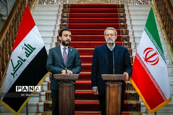 دیدار علی لاریجانی با رئیس مجلس عراق