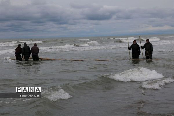 فصل ماهیگیری