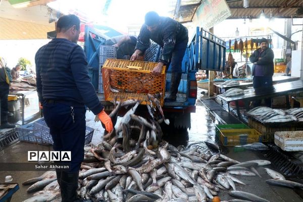 فصل ماهیگیری