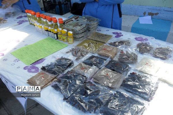 برپایی نمایشگاه و بازارچه کسب وکار دانش‌آموزی در زرین دشت