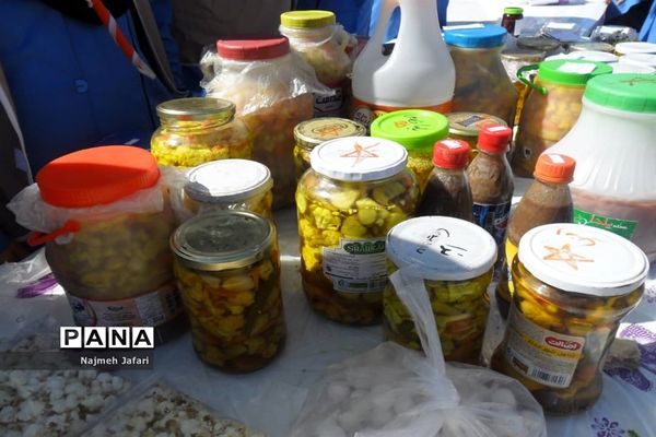 برپایی نمایشگاه و بازارچه کسب وکار دانش‌آموزی در زرین دشت