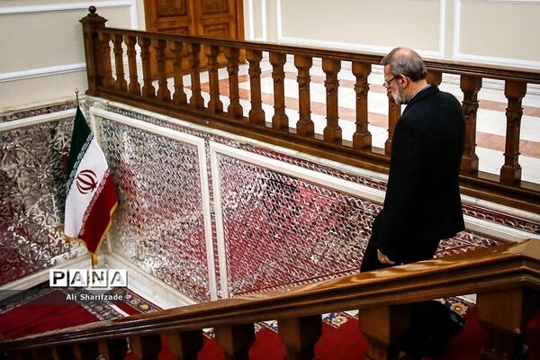 دیدار رئیس مجلس شورای اسلامی با نخست وزیر ارمنستان
