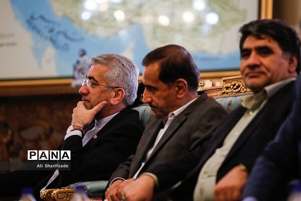 دیدار رئیس مجلس شورای اسلامی با نخست وزیر ارمنستان
