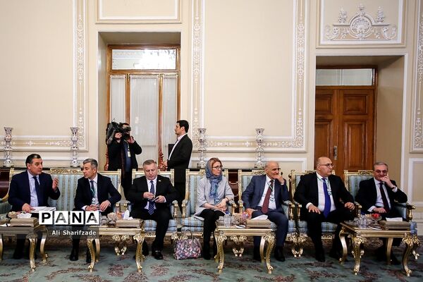 دیدار رئیس مجلس شورای اسلامی با نخست وزیر ارمنستان