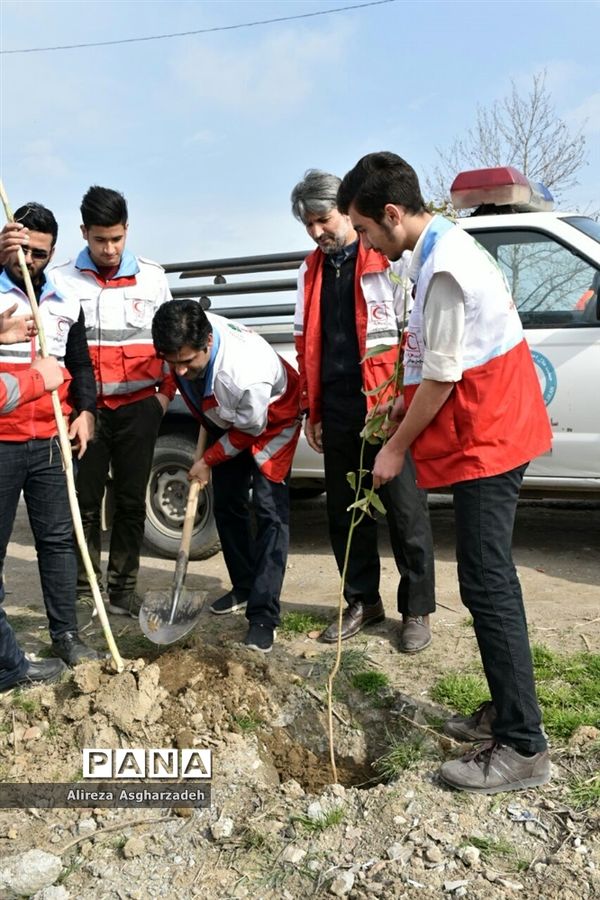 آیین درختکاری در بابلسر