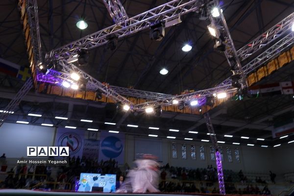 دومین شب از سومین دوره مسابقات جام ریاست فدراسیون جهانی تکواندو در جزیره کیش