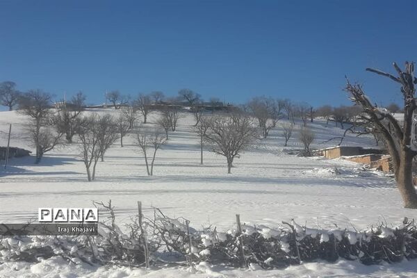 روستای سررگ از توابع شهرستان دهدز در خوزستان سپید پوش شد