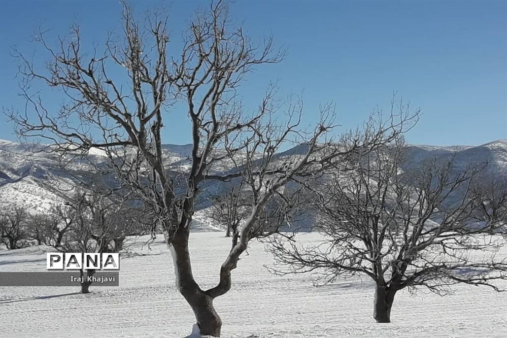 روستای سررگ از توابع شهرستان دهدز در خوزستان سپید پوش شد