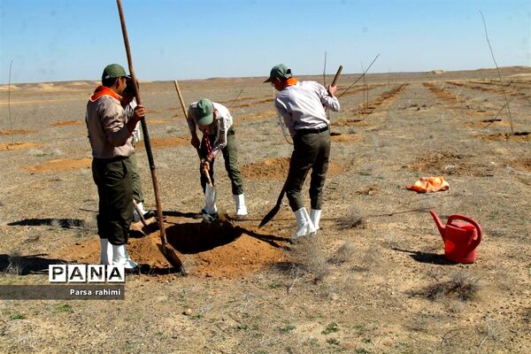 مراسم ویژه روز درختکاری در بوستان ثامن قم