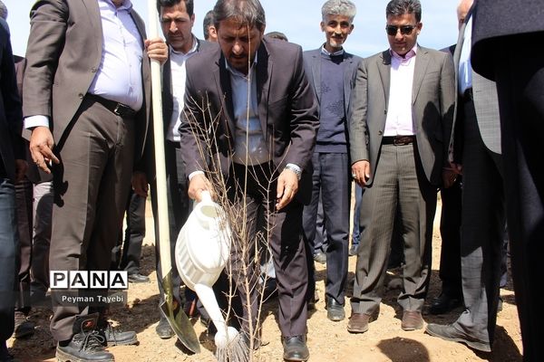 آیین گرامیداشت روز درختکاری در درجزین