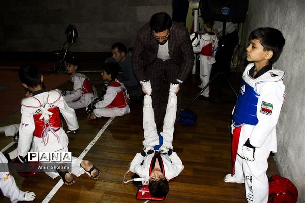 مسابقات تکواندو استان تهران