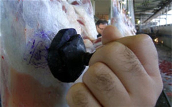 شهروندان از خرید گوشت دام های فاقد مهر دامپزشکی خودداری کنند