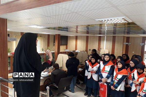 بازدید دانش‌آموزان از شعب تامین اجتماعی
