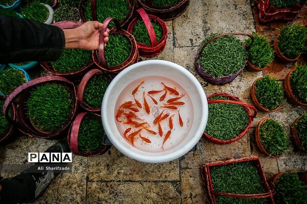 حال و هوای میدان تجریش در آستانه سال نو