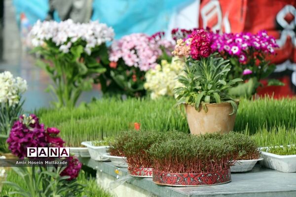 بازار فروش ماهی  و سبزه نوروزی در ارومیه