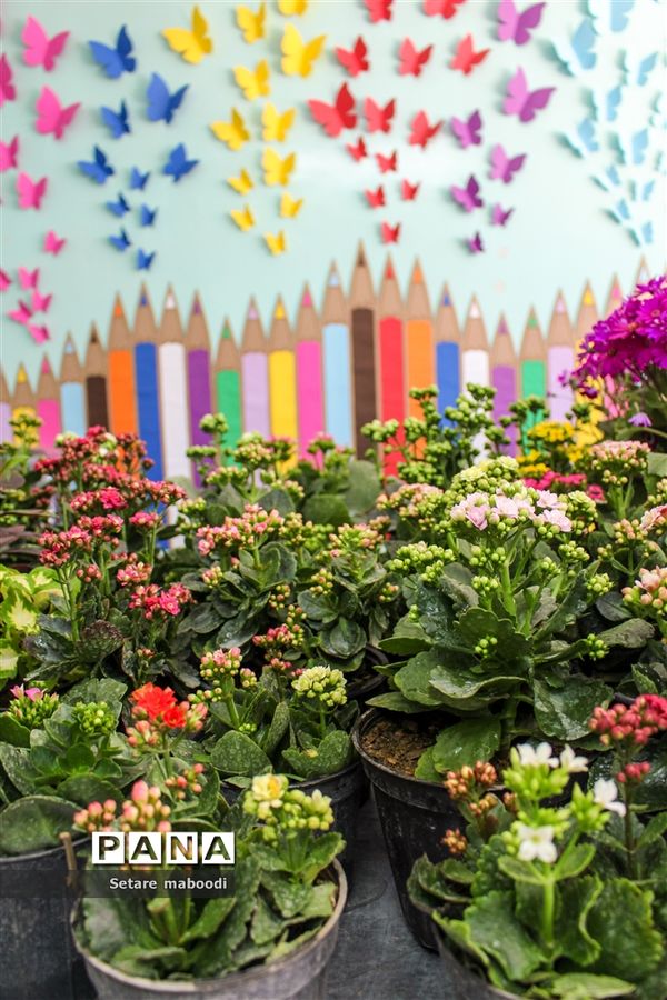 بازارچه خیریه موسسه خیریه دستان سبز همدلان الوند