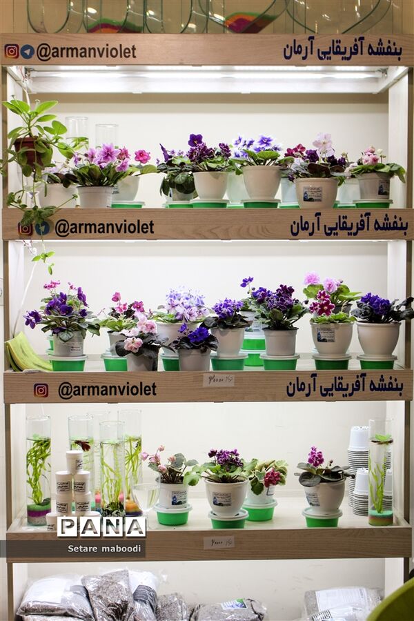 بازارچه خیریه موسسه خیریه دستان سبز همدلان الوند