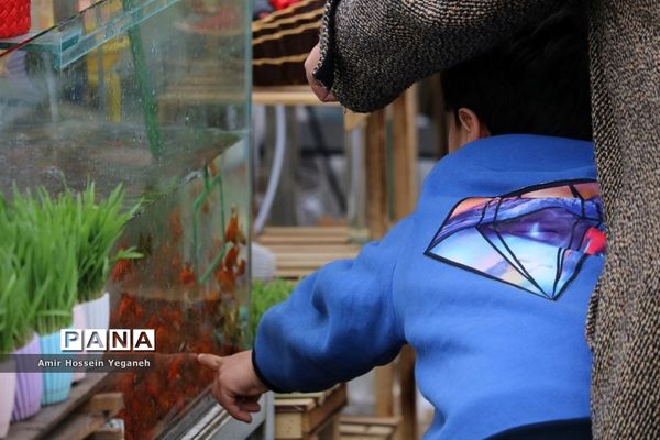 استقبال از بهار