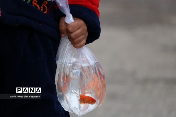 استقبال از بهار