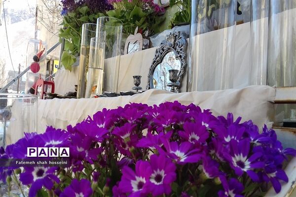 حال و هوای استقبال ازنوروز در شهرستان فیروزکوه