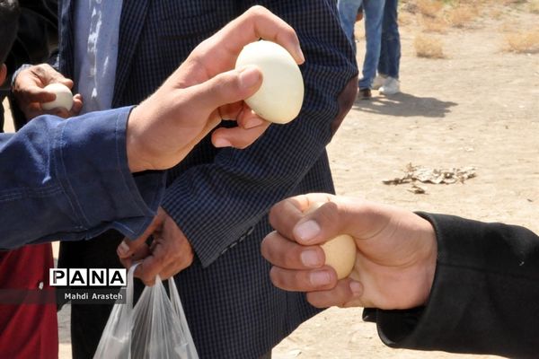 جشنواره بازی‌های بومی و محلی روستای ماژان شهرستان خوسف