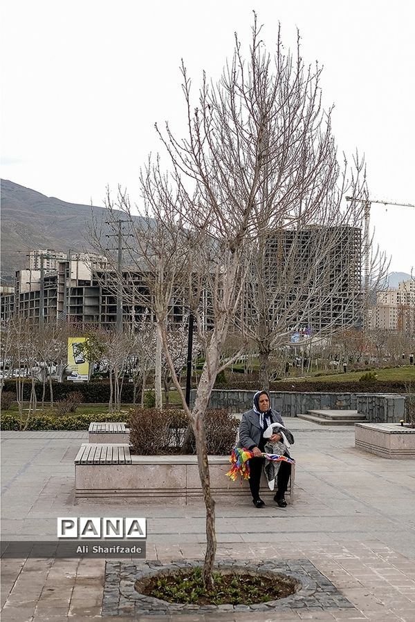 دریاچه شهدای خلیج فارس