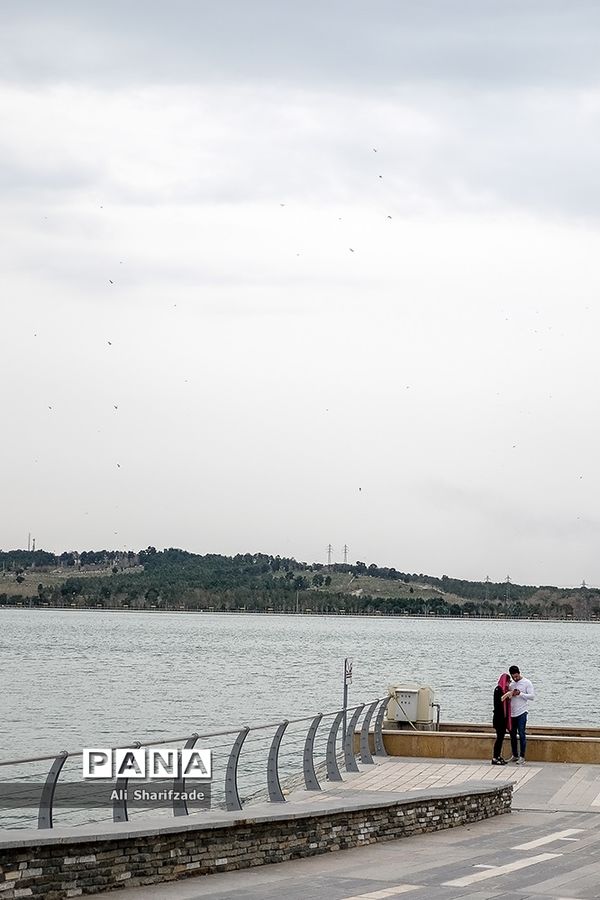 دریاچه شهدای خلیج فارس