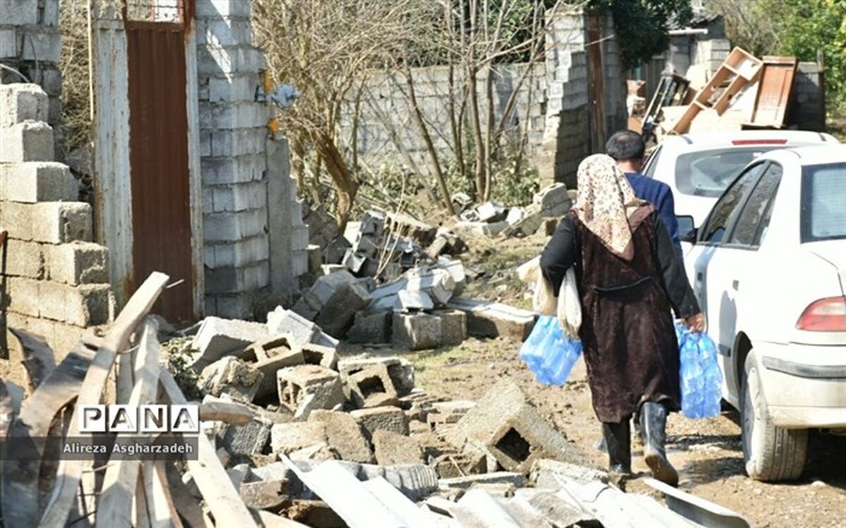 معاون سازمان امور اجتماعی کشور:  سازمان‌های مردم‌نهاد در مناطق سیل‌زده مستقر می‌شوند
