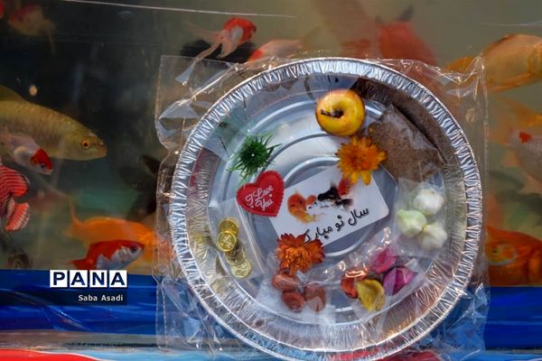 دکه های نوروزی در گله دار