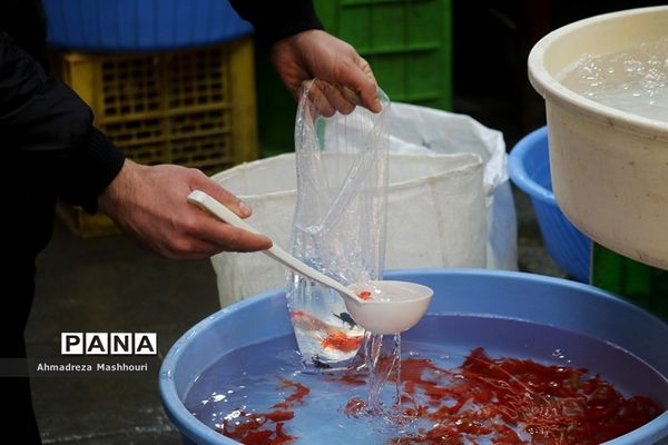 حال و هوای بازار تبریز شب عید