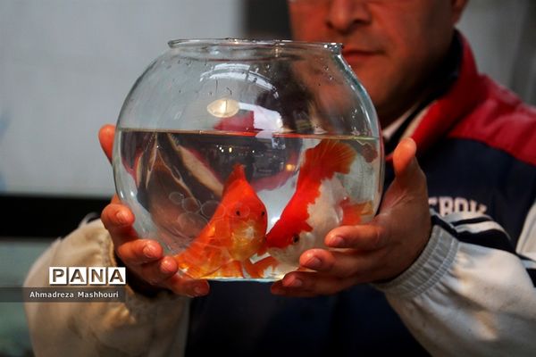 حال و هوای بازار تبریز شب عید