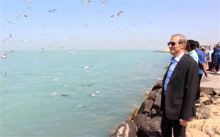 آسمان آفتابی  بوشهر پس ازروزهای بارانی