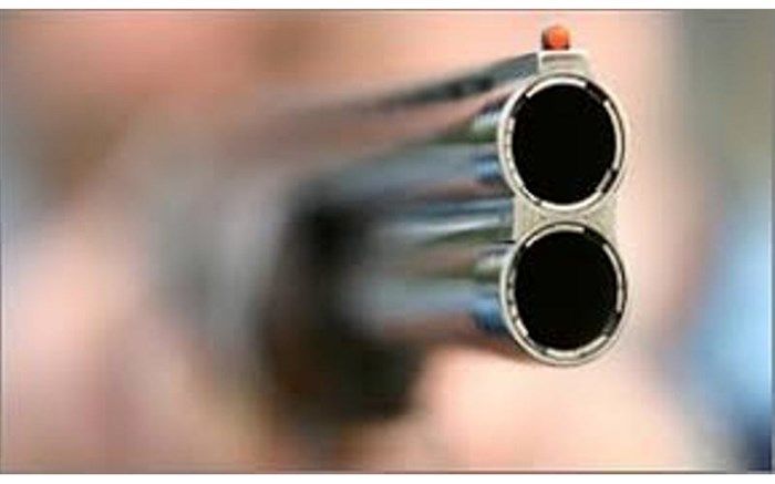 توضیح پلیس درباره شلیک تیر هوایی در میدان نامجو