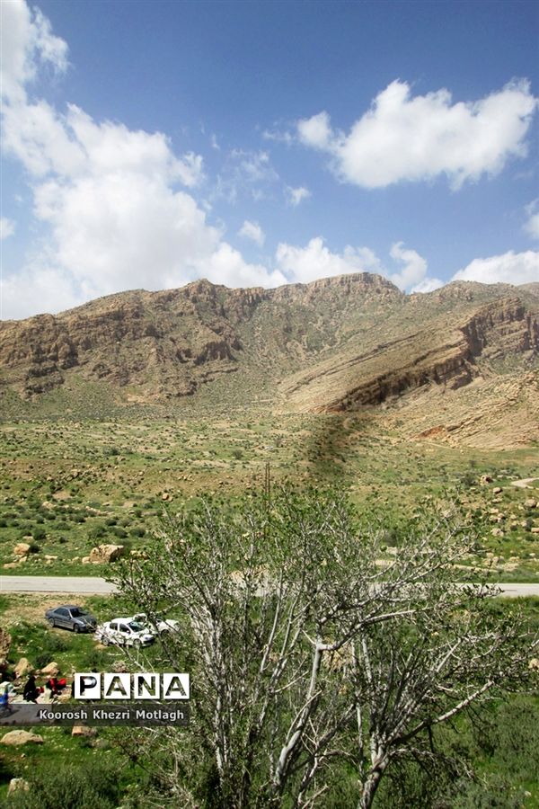 طبیعت آفتابی کازرون و جاده دوان بعد از بارندگی‌های شدید اخیر