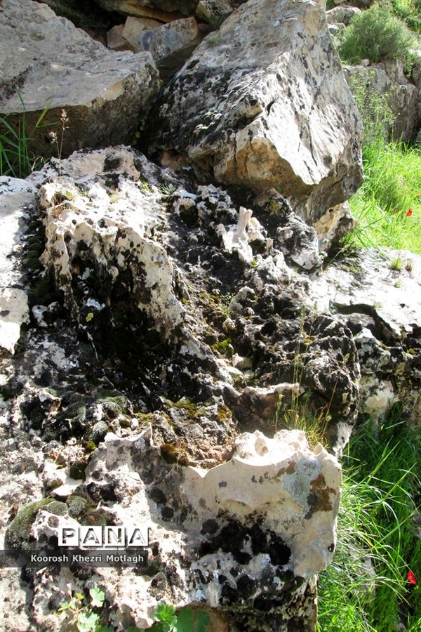 طبیعت آفتابی کازرون و جاده دوان بعد از بارندگی‌های شدید اخیر