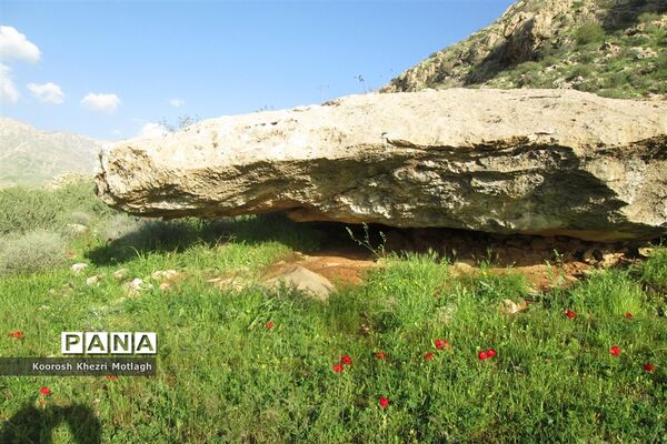 طبیعت آفتابی کازرون و جاده دوان بعد از بارندگی‌های شدید اخیر