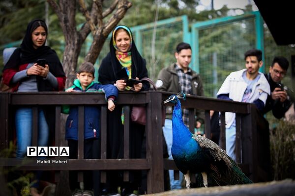 باغ پرندگان تهران در نوروز 98