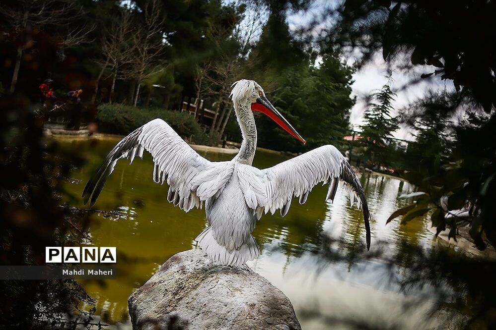 باغ پرندگان تهران در نوروز 98
