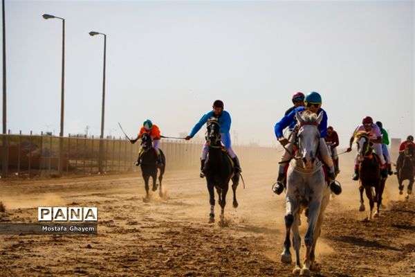 برگزاری مسابقات کورس اسب دوانی براق اروند  به میزبانی منطقه آزاد اروند