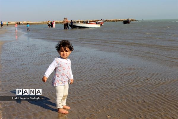 مسافران نوروزی در بوشهر-3