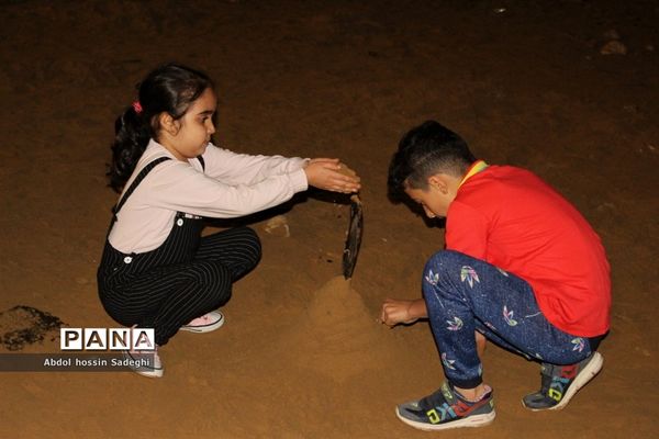 مسافران نوروزی در بوشهر-3