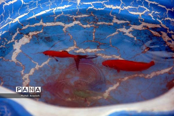 برپایی ایستگاه جمعیت جوانان هلال احمر شهرستان خوسف