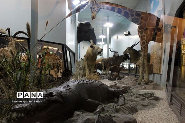 موزه حیات وحش پارک پردیسان تهران