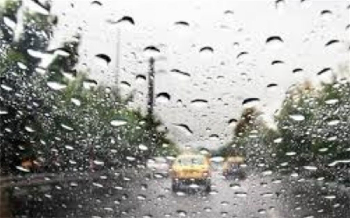 بارش باران در بوشهر آغاز شد
