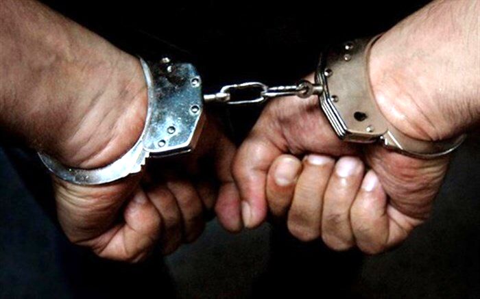 افزایش ۲۴ درصدی کشف سرقت در شاهرود