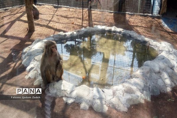 باغ وحش ارم تهران