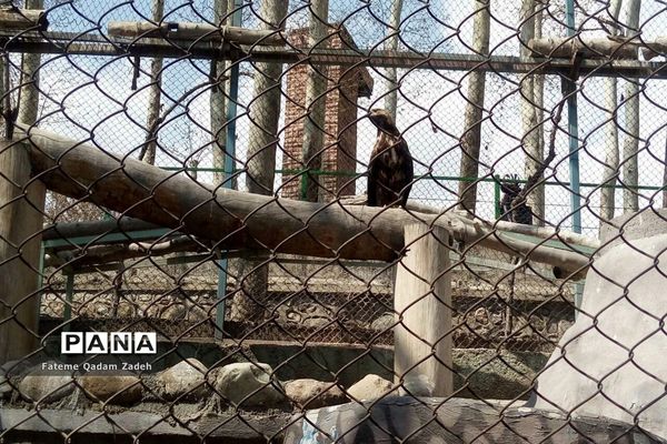 باغ وحش ارم تهران