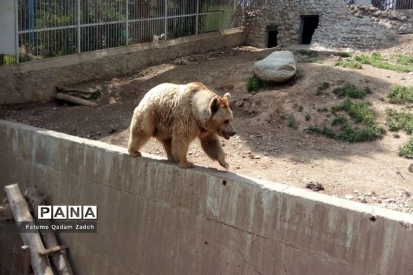 باغ وحش ارم تهران