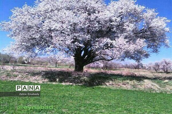 طبیعت زیبای روستای عین‌آباد دراستان همدان