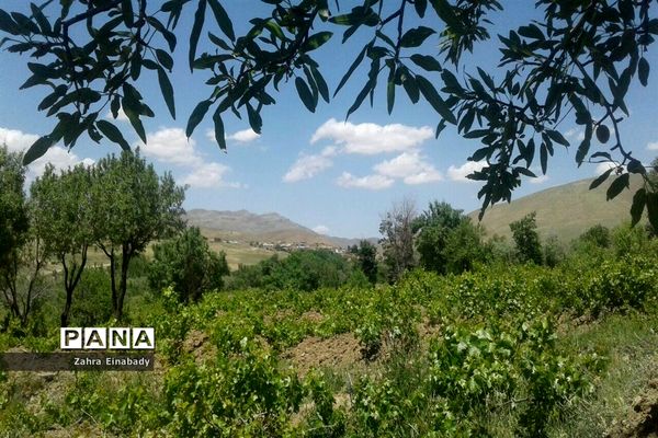 طبیعت زیبای روستای عین‌آباد دراستان همدان